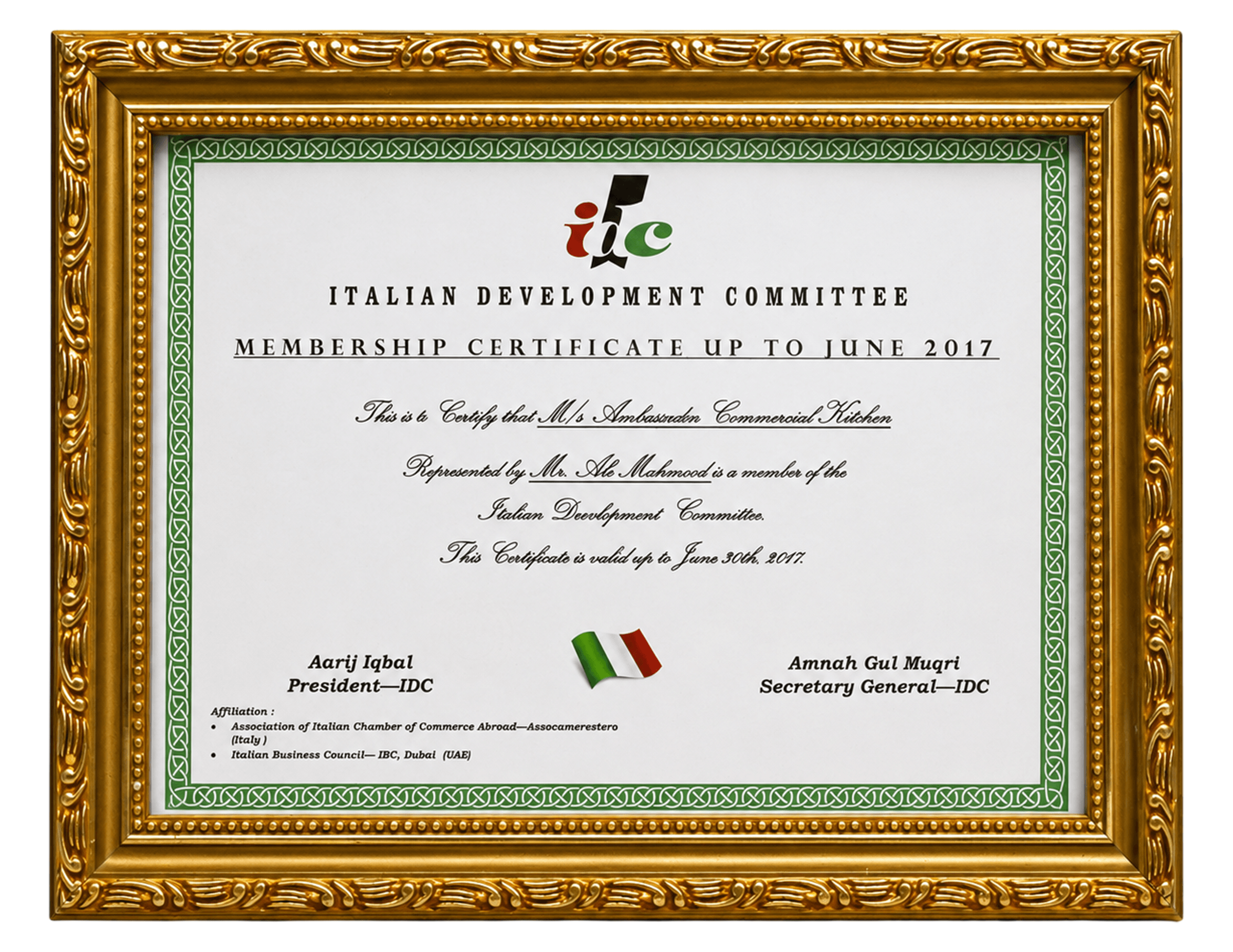 Italian Development Committee